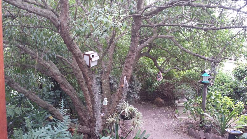 5 Bedroom Property for Sale in Albertinia Western Cape